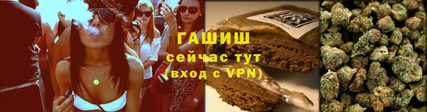 прущие грибы Осташков